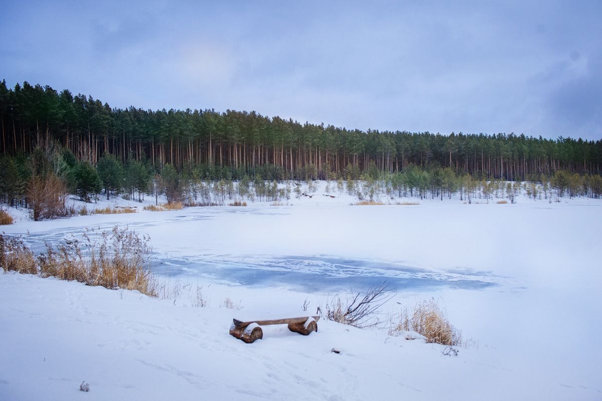 Выживание в холодной воде