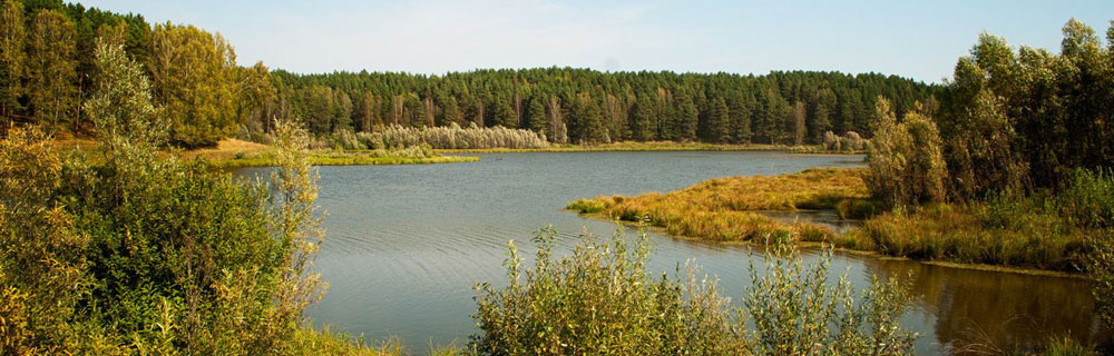 Баткат томская область. Село Баткат Шегарский район. Село Баткат Шегарского района Томской области. Мельниково Томская область. Татьяновка Шегарский район.